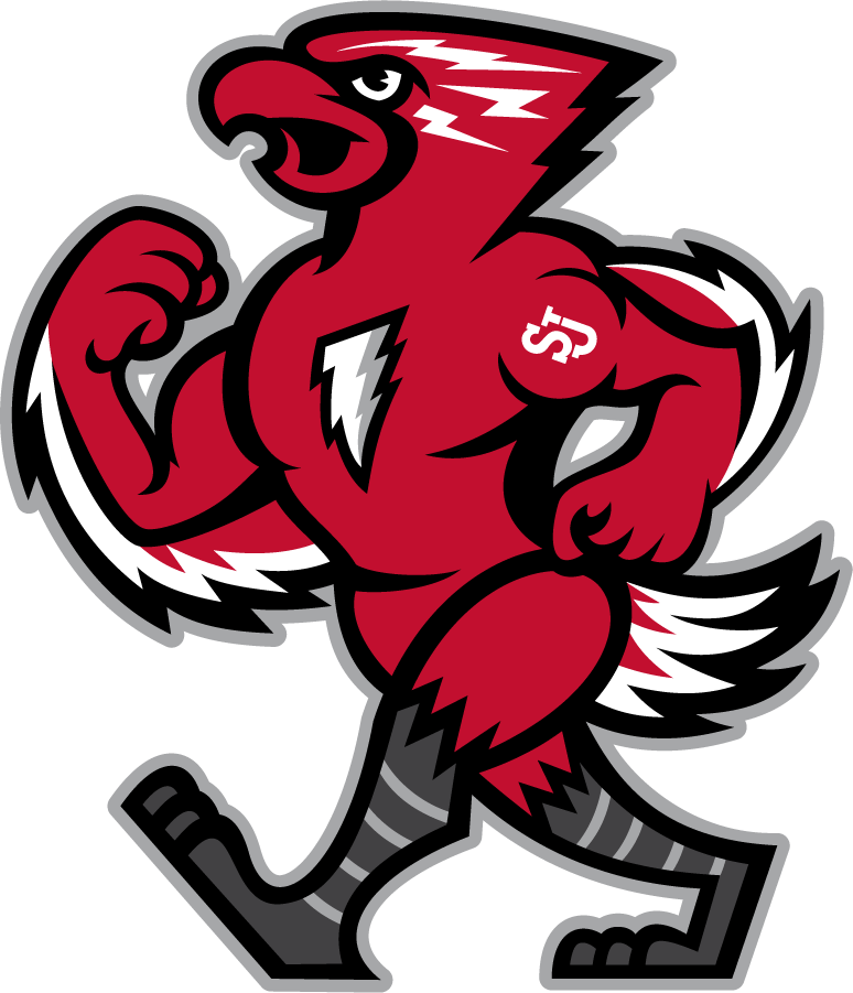 St. John's Red Storm 2015-Pres Mascot Logo diy iron on heat transfer